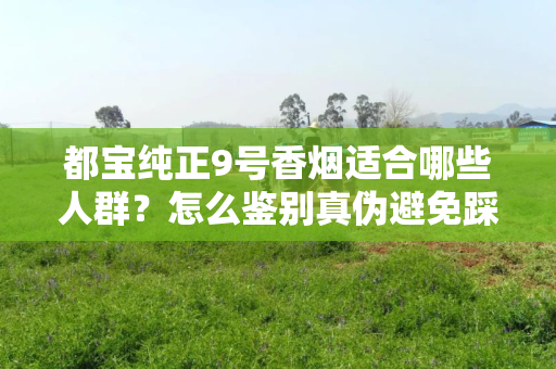都宝纯正9号香烟适合哪些人群？怎么鉴别真伪避免踩坑？